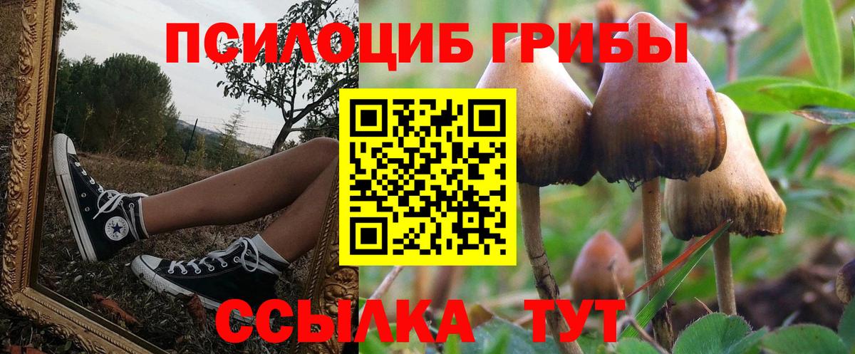 Псилоцибиновые грибы Psilocybine cubensis  Псилоцибиновые грибы MAGIC MUSHROOMS  Вход с VPN  Камышин 