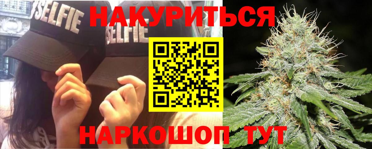 Конопля гибрид  Бошки Шишки индика  Марихуана планчик  Вход с VPN  Камышин  Бошки марихуана сатива 